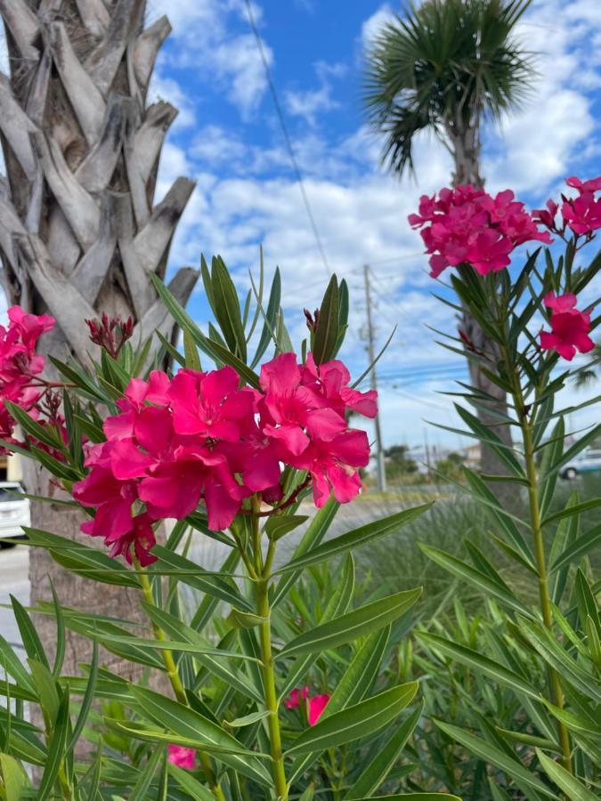 House 3 Blocks To The Beach Panama City Beach Eksteriør bilde